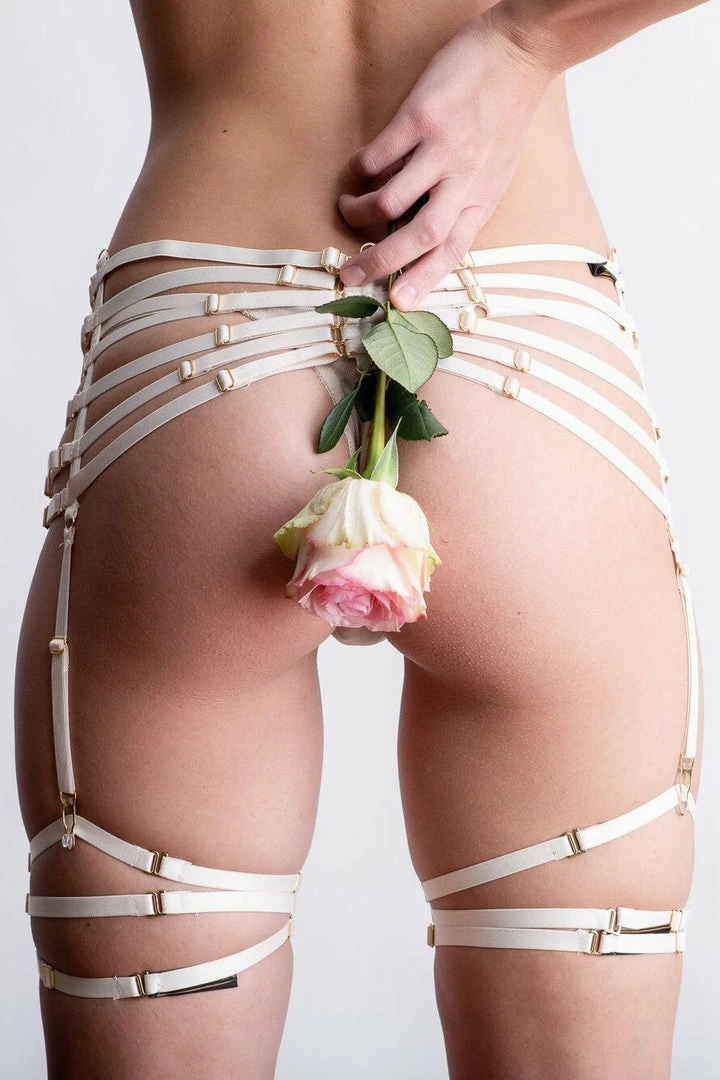 Best reviews of ✨ Colette & Sebastian Anastasia Suspender Belt ✨ 7 Colette & Sebastian Anastasia Suspender Belt