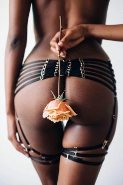 Best reviews of ✨ Colette & Sebastian Anastasia Suspender Belt ✨ 16 Colette & Sebastian Anastasia Suspender Belt