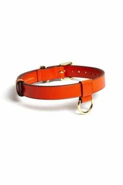 Domestique Toys & Accessories D-Ring Leather Choker
