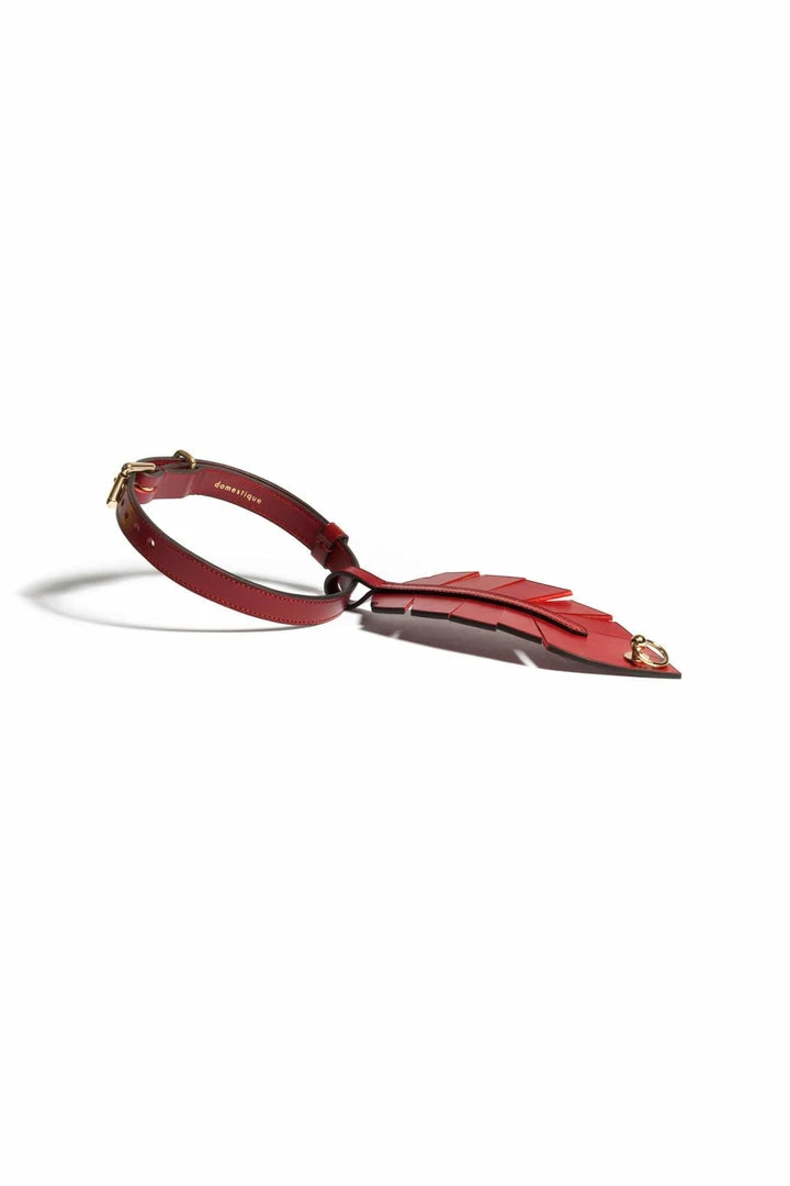 Discount π Domestique Rouge-gorge Red Feather Choker Toys & Accessories π― 5 Domestique Rouge-gorge Red Feather Choker Toys & Accessories