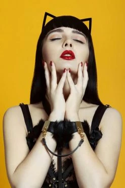 Top 10 ❤️ Fräulein Kink Jet Kitten Headband Toys & Accessories 🛒 7 Fräulein Kink Jet Kitten Headband Toys & Accessories