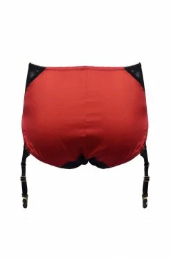 Best reviews of π Nevaeh Intimates Fever & Thoughts Garter Briefs π 19 Nevaeh Intimates Fever & Thoughts Garter Briefs