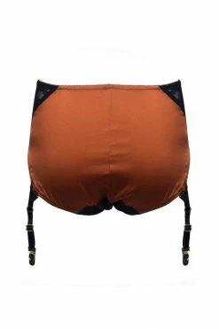 Best reviews of π Nevaeh Intimates Fever & Thoughts Garter Briefs π 22 Nevaeh Intimates Fever & Thoughts Garter Briefs