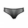 Taryn Winters Colette Sheer Bikini Brief