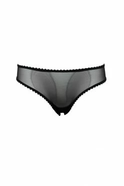 Taryn Winters Colette Sheer Bikini Brief