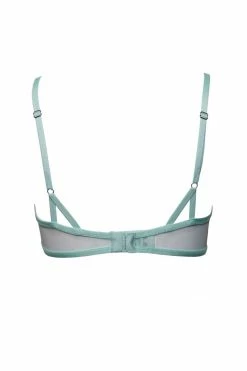 Taryn Winters Kharis Sheer Demi Bra