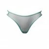 Taryn Winters Kharis Jade Sheer Mesh Thong
