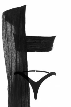 Demery Jayne Lingerie Sets Wren Tenzin Romantic Sheer Set