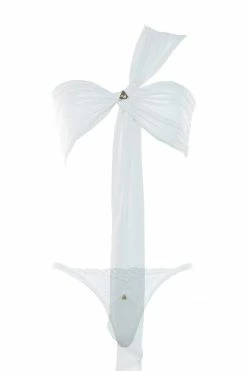 Demery Jayne Lingerie Sets Wren Tenzin Romantic Sheer Set